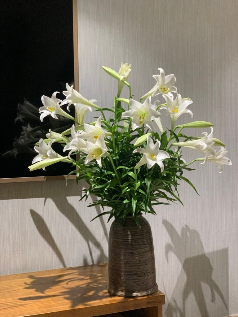 Nhớ thương nơi ấy, cũng bởi chiều chuộng này… Loa kèn tháng&nbsp;Tư.