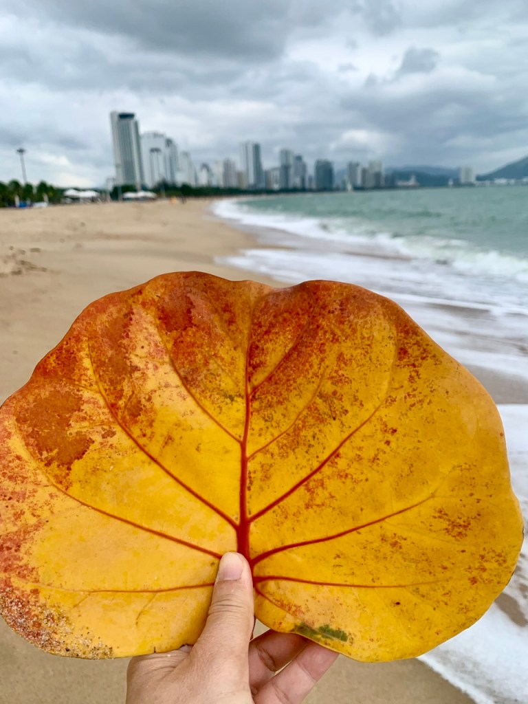 Người phụ nữ đi dọc&nbsp;biển.